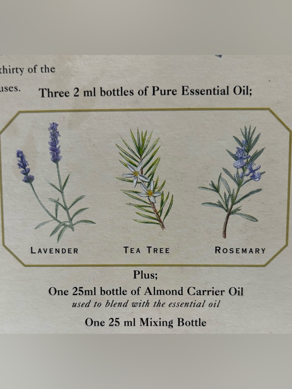 Aromatherapy Gift Set - Oils & Tutorial - Picture 4 of 8